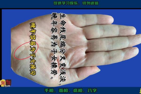 福德宫揭秘:手相中的财运密码 福德宫揭秘:手相中的财运密码