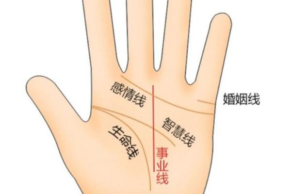 手相事业线曲折之谜,揭秘你的事业未来! 手相事业线曲折之谜,揭秘你的事业未来!