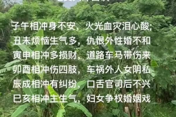 巳丑酉地支对命运的深刻影响