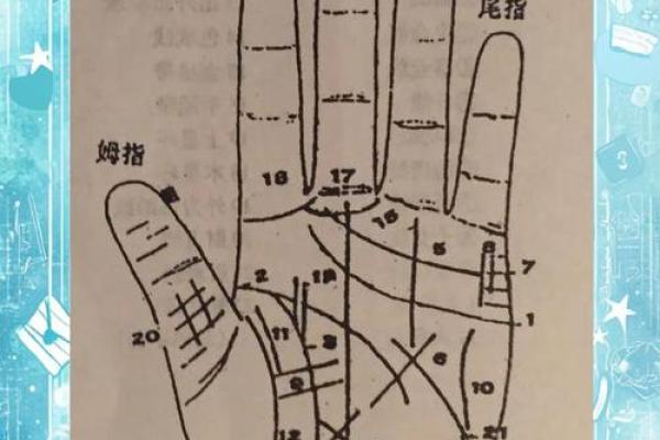 手指粗大揭秘:健康与力量的象征 手指粗大揭秘:健康与力量的象征