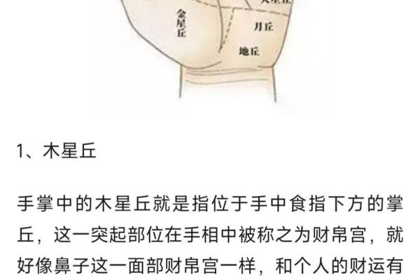 手心运势：揭秘女生的未来与财运