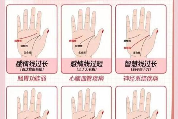手心运势：揭秘女生的未来与财运