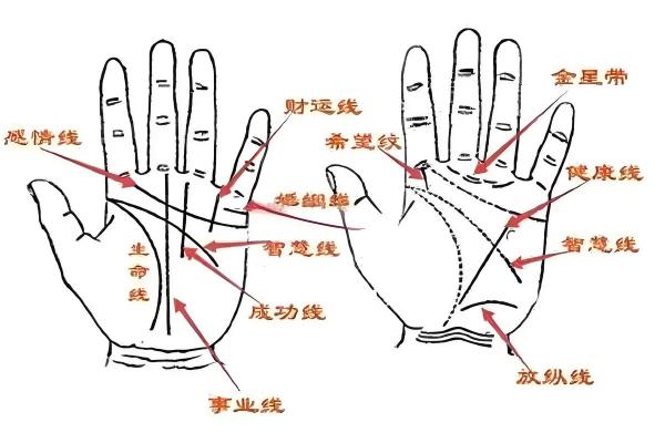 神秘转世：手相揭秘前世今生