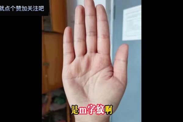 神秘转世：手相揭秘前世今生