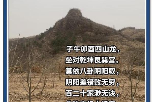 家居风水揭秘：本命年必看的风水布局秘籍！