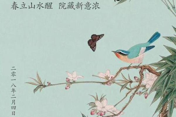 立春风水摆设，家居美学新风尚