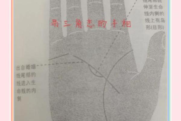 裴翁手相秘术,揭秘命运之谜 裴翁手相秘术,揭秘命运之谜