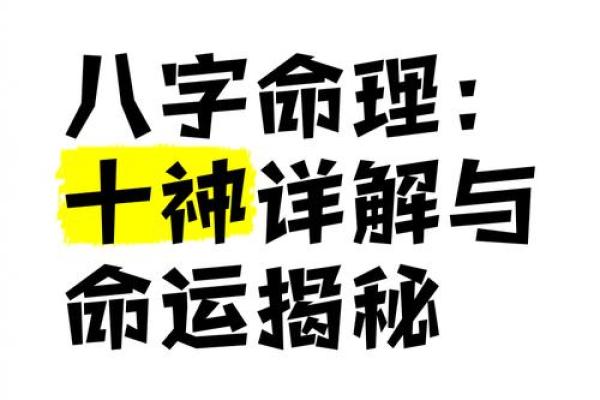 裴翁手相秘术,揭秘命运之谜 裴翁手相秘术,揭秘命运之谜