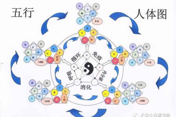 沁五行的五行特征解读 沁五行的五行特征解读