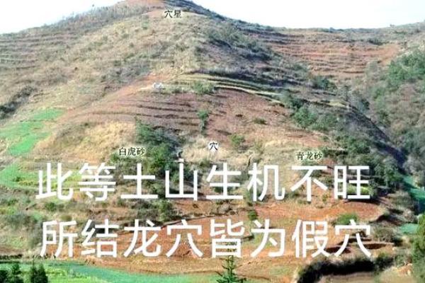 揭秘阳宅风水：水口朝向决定财运，快速学会风水布局视频教程