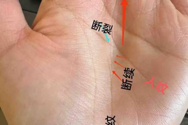 神秘手相揭秘:索状纹理背后的惊人秘密 神秘手相揭秘:索状纹理背后的惊人秘密