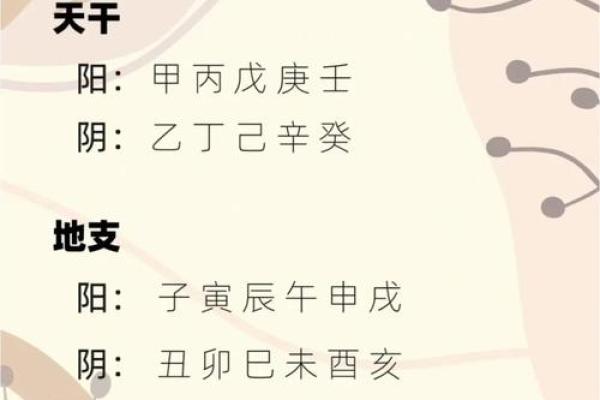地支间的相生相克与命理解析