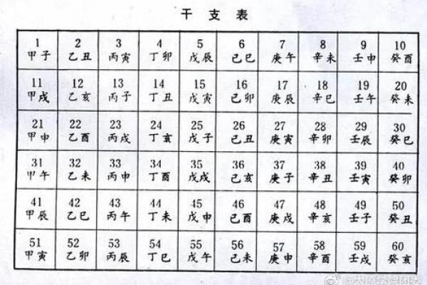 十二干支地支表格解析