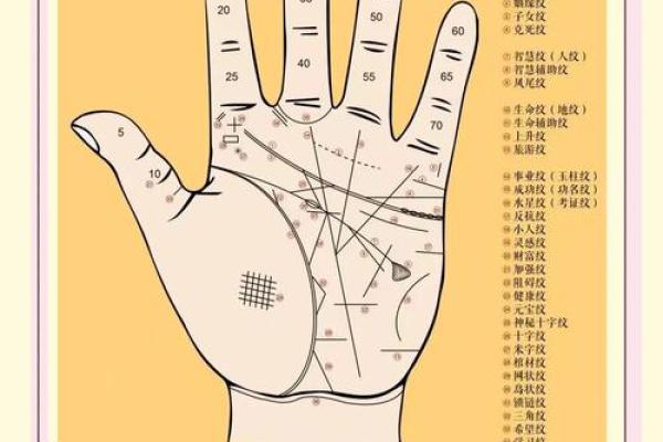 手相中的恐怖密码：横尸纹揭示命运真相！