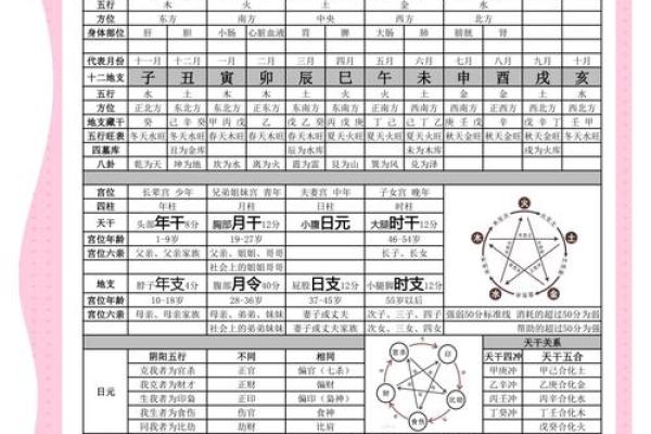 正的五行属性解析