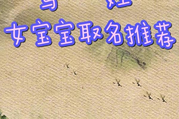 马姓宝宝取名：经典寓意好听的精选名字
