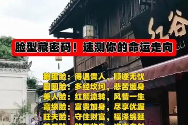 马伊琍命理揭秘：她的命运密码藏着哪些惊人秘密？