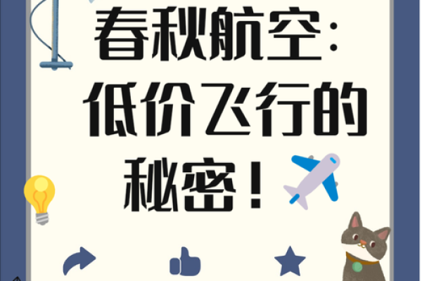 如何为航空公司选择一个独特而有吸引力的名字