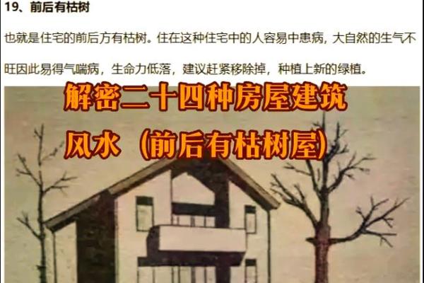 树根风水学在农村住宅中的应用与实践