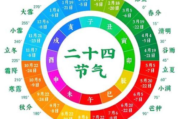 亥地支与生肖猪的关系分析