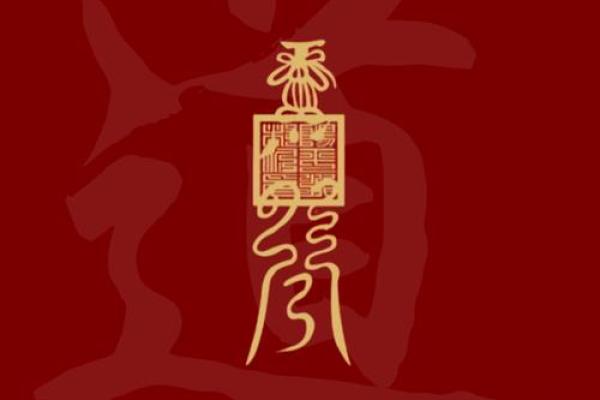 一招制胜，打造家中招财风水宝地！