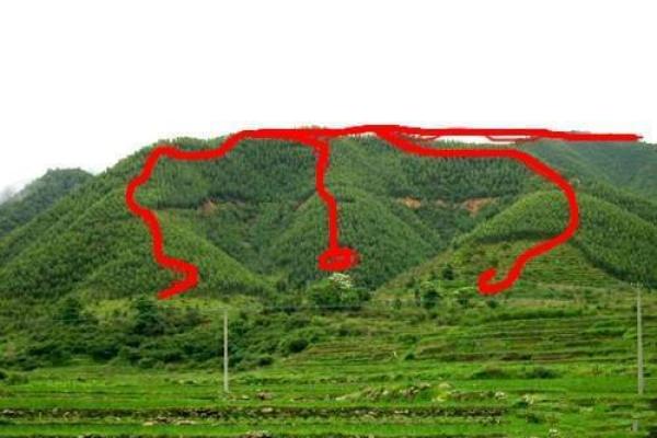 风水大师亲授：爱情风水布局，让你的爱情如诗如画