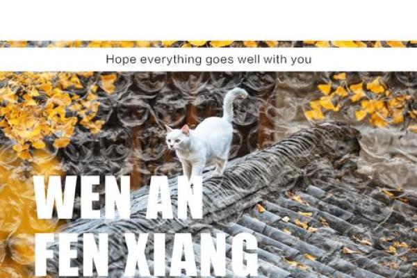 李栢：文雅如松，智慧如柏，姓名运势双全的优雅象征