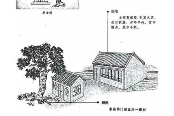 揭秘住宅公园风水秘籍：住进旺财旺运的房子