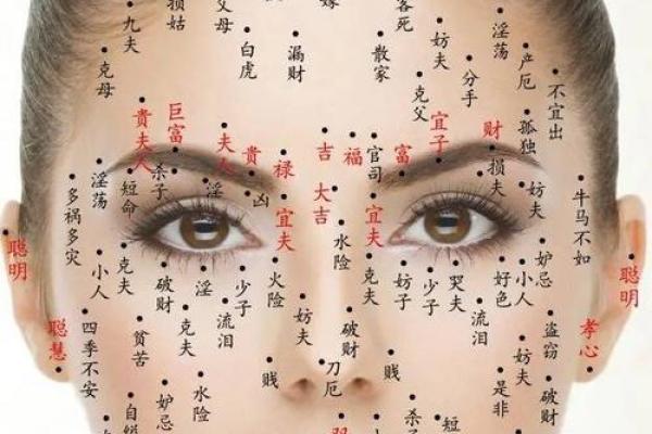 面部风水学解析：鼻子的形态与财运的关系