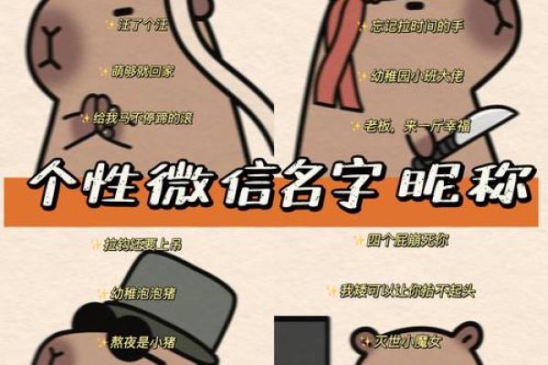 如何取一个既有气质又有内涵的微信名字