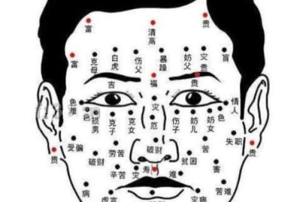 额头的形状与运势解析 额头的形状与运势解析