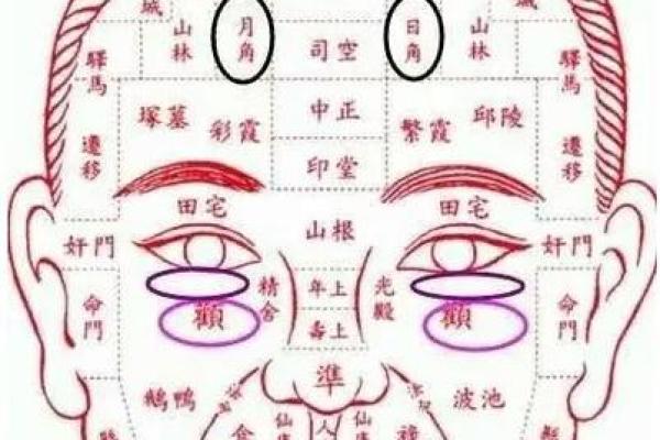 额头的形状与运势解析 额头的形状与运势解析