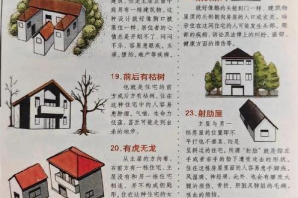 从风水角度看住宅设计：提高生活质量的智慧