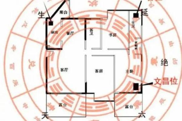 袁先生阳宅风水布局秘籍：打造家居风水宝地