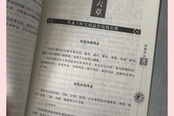 袁先生阳宅风水布局秘籍：打造家居风水宝地