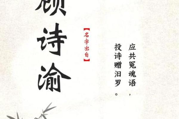 顾姓男生取名推荐：优雅与力量并存的名字解析