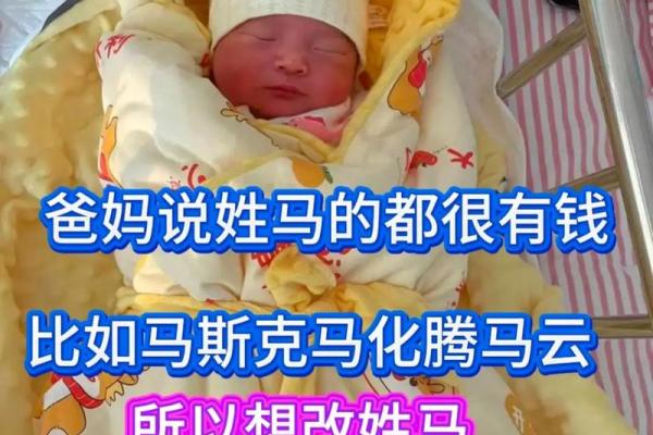 马宝宝男孩名字精选