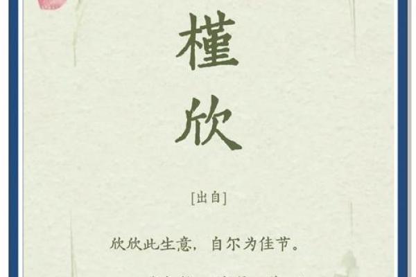 欣然宝宝名字大全