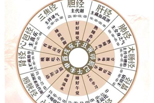 地支与身高的奇妙联系