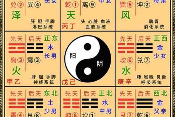 阳宅风水禁忌：揭秘那些让你运势下滑的风水东西