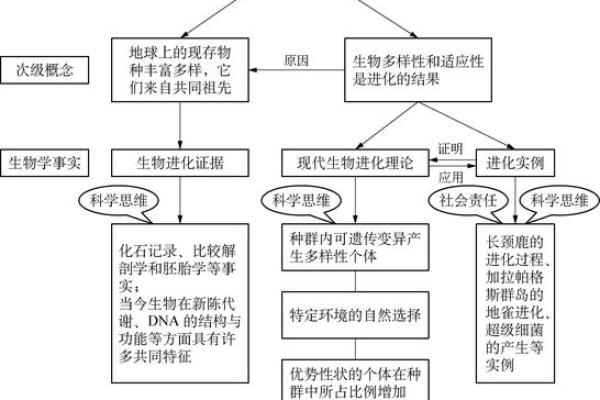 风水学漫画教学目标解析与实践指导