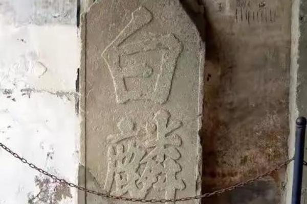 探索曾氏祖坟风水学对家族命运的影响