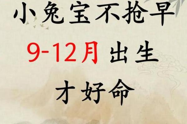 金鸡独立,智慧宝宝名扬四海 金鸡独立,智慧宝宝名扬四海