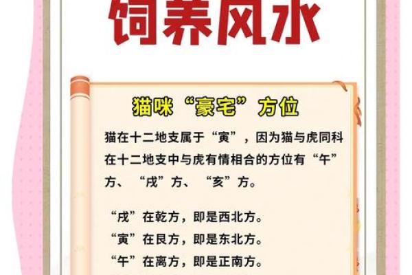 养猫风水学：这些禁忌你知道吗