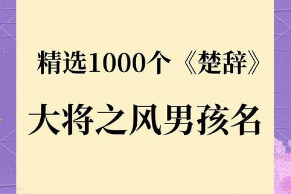 探索传统文化对男生小名的深远影响