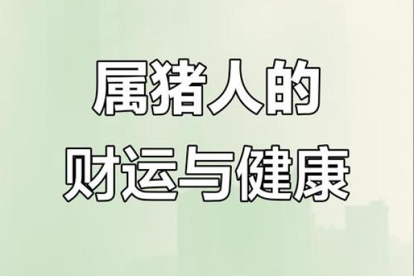 属猪人2020年运势大揭秘：财运亨通，事业腾飞，健康无忧