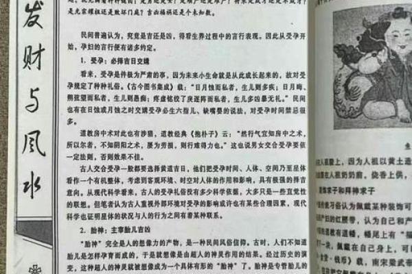 现代家居风水秘籍：打造旺家布局的爆款秘法