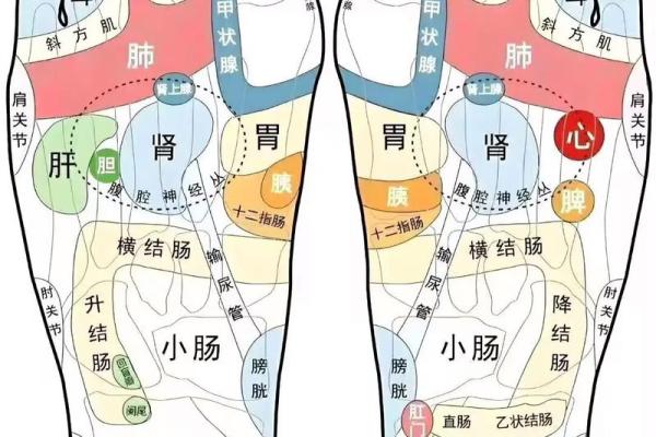 脚底有痣是福是祸？一探究竟，痣相解析让你财运亨通！
