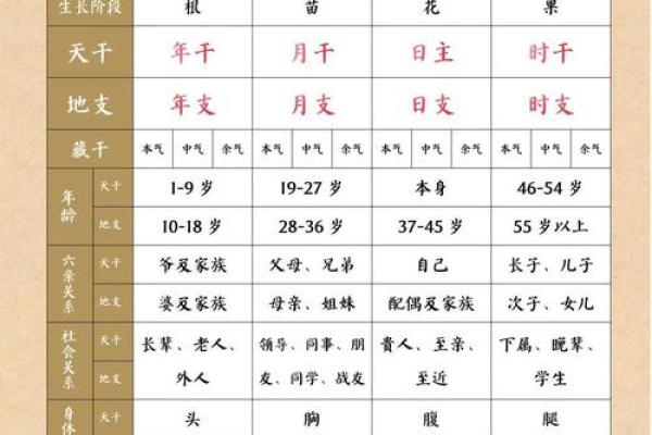 生日生辰八字查询：揭示命运的神秘密码