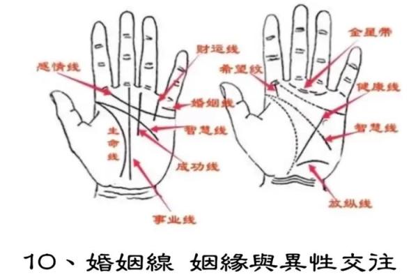 手相大师揭秘：从手相看运势，掌握人生财富密码！